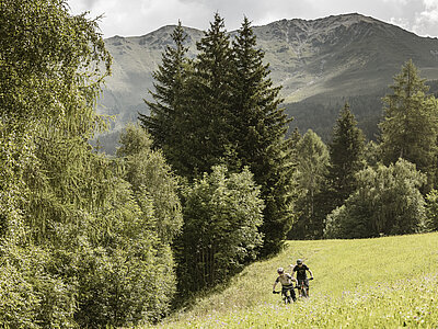 Radfahren im Oberland © TVB Tiroler Oberland / Rudi Wyhlidal